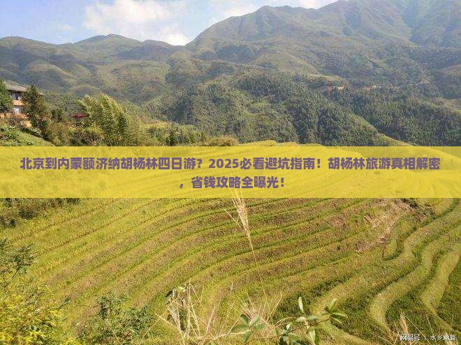 北京到内蒙额济纳胡杨林四日游