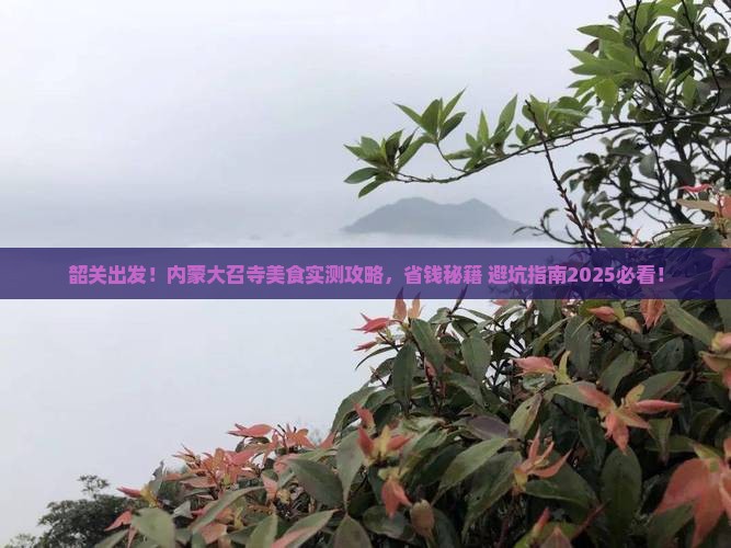 韶关去内蒙大召寺旅游小吃