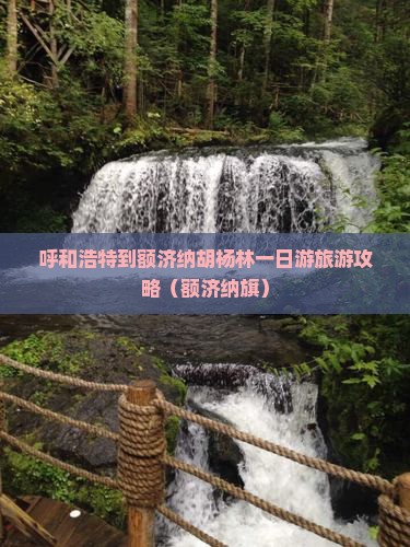 呼和浩特到内蒙额济纳胡杨林一日游