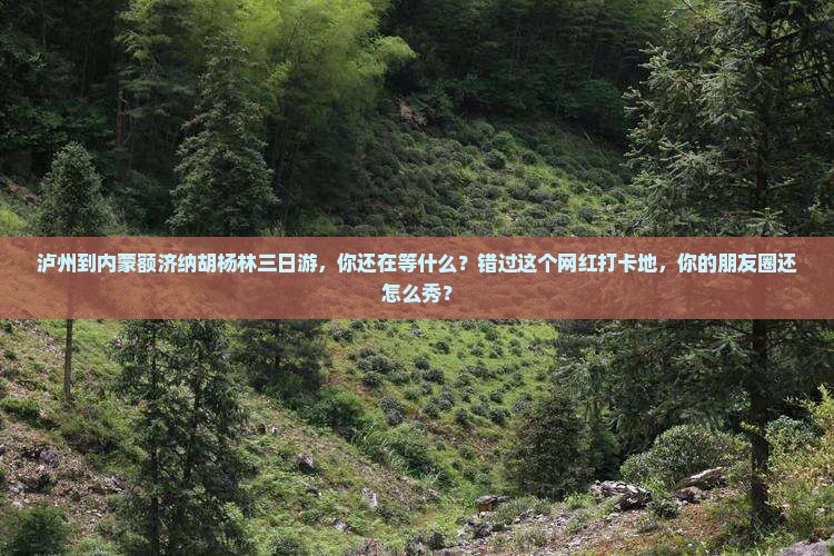 泸州到内蒙额济纳胡杨林三日游
