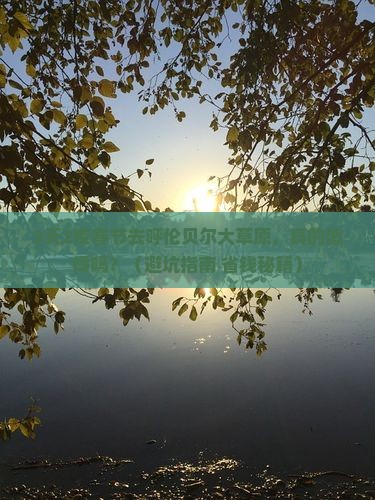 春节去内蒙呼伦贝尔大草原大型旅游团