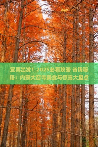宜宾到内蒙大召寺旅游小吃