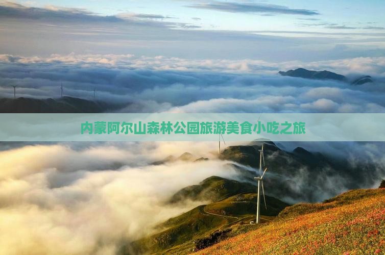 伊犁去内蒙阿尔山国家森林公园旅游小吃