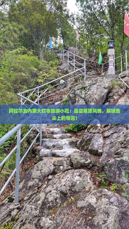 阿拉尔去内蒙大召寺旅游小吃