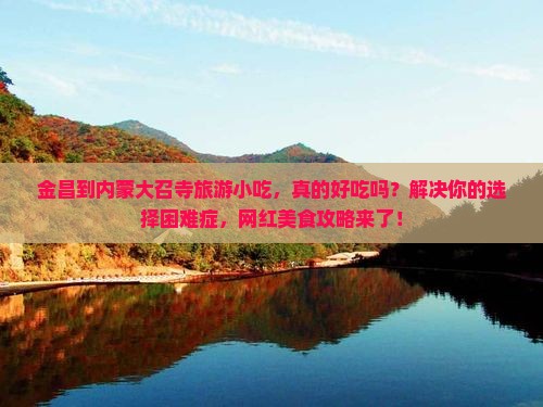 金昌到内蒙大召寺旅游小吃