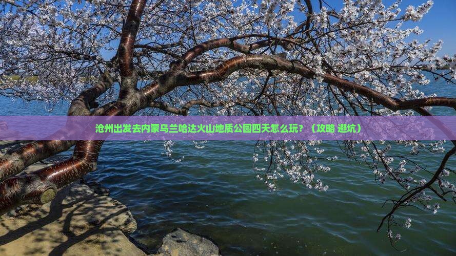 沧州到内蒙乌兰哈达火山地质公园四日游