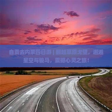 自贡去内蒙四日游