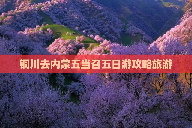 铜川去内蒙五当召五日游