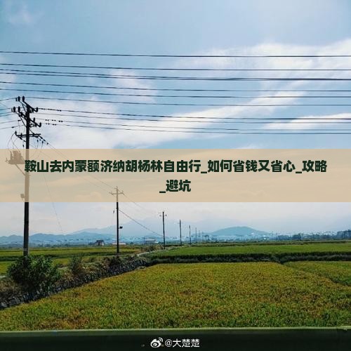 鞍山去内蒙额济纳胡杨林自由行