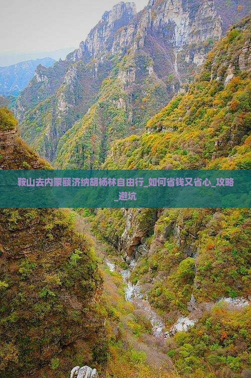 鞍山去内蒙额济纳胡杨林自由行