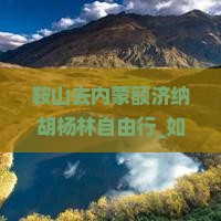 鞍山去内蒙额济纳胡杨林自由行