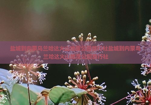 盐城到内蒙乌兰哈达火山地质公园旅行社