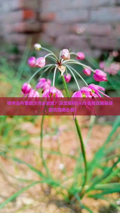 锦州去内蒙响沙湾必去地 锦州去内蒙响沙湾必去地
