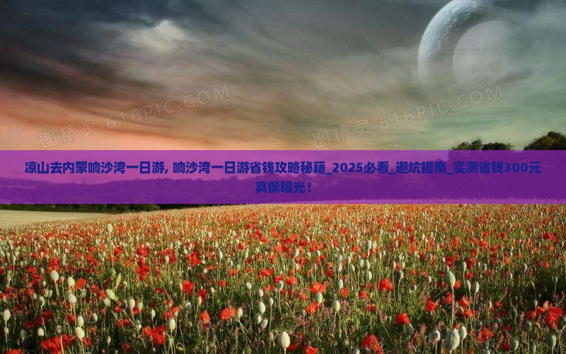 凉山去内蒙响沙湾一日游