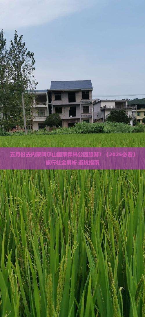 五月到内蒙阿尔山国家森林公园旅行社