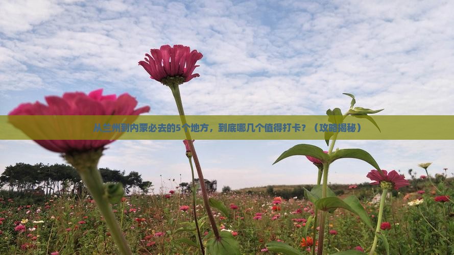 兰州去内蒙必去地