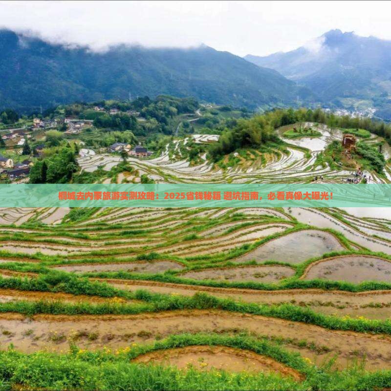 桐城去内蒙旅游