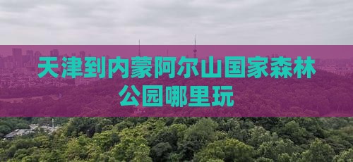 天津到内蒙阿尔山国家森林公园哪里玩