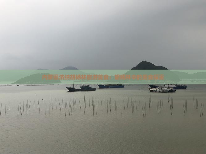赣州到内蒙额济纳胡杨林旅游小吃
