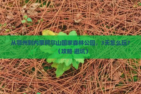 鄂州去内蒙阿尔山国家森林公园个人游