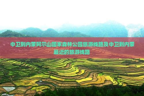 中卫到内蒙阿尔山国家森林公园旅游