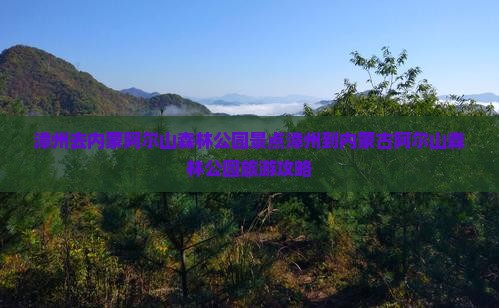 漳州去内蒙阿尔山国家森林公园景点