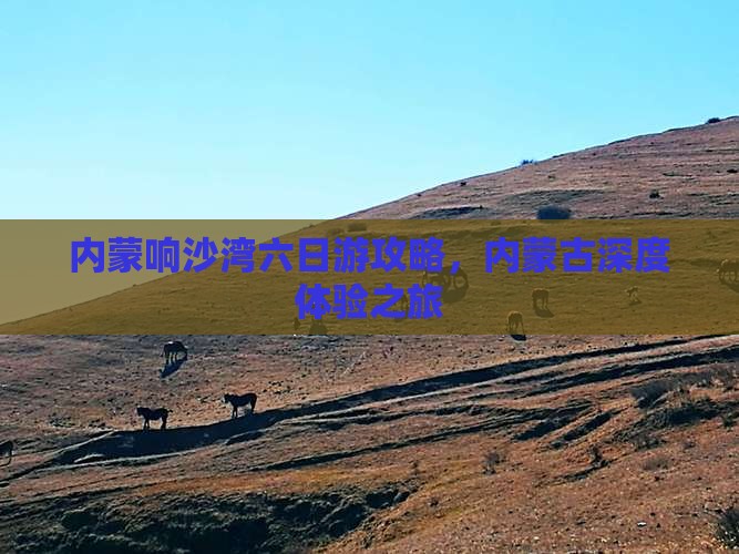七台河到内蒙响沙湾六日游
