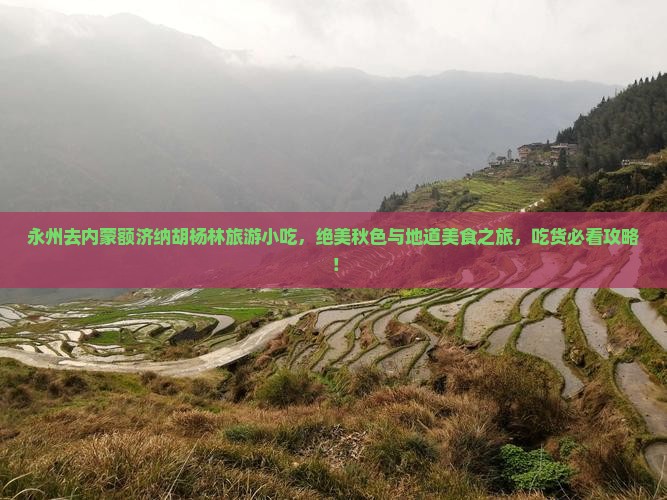 永州去内蒙额济纳胡杨林旅游小吃