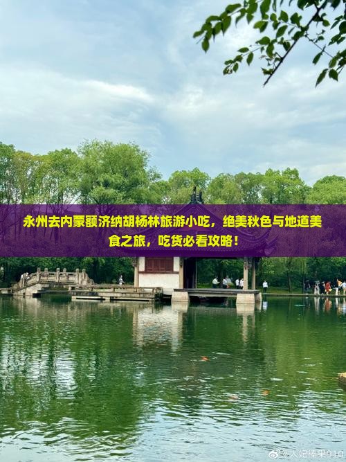 永州去内蒙额济纳胡杨林旅游小吃