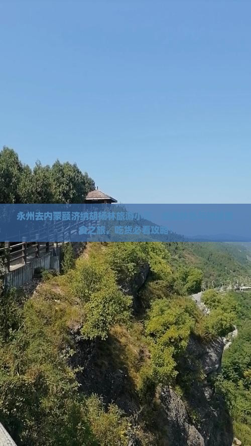 永州去内蒙额济纳胡杨林旅游小吃