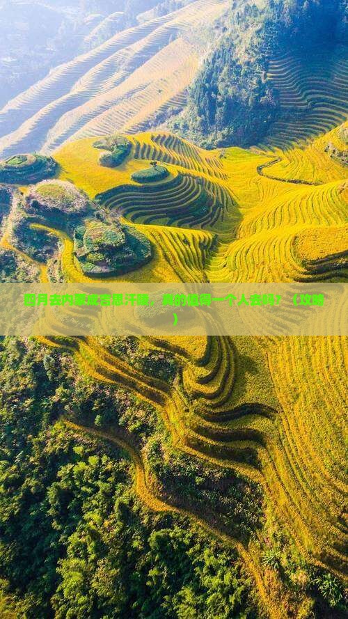 四月去内蒙成吉思汗陵个人游