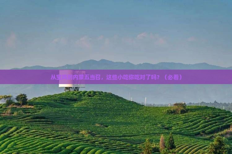 宝鸡去内蒙五当召旅游小吃