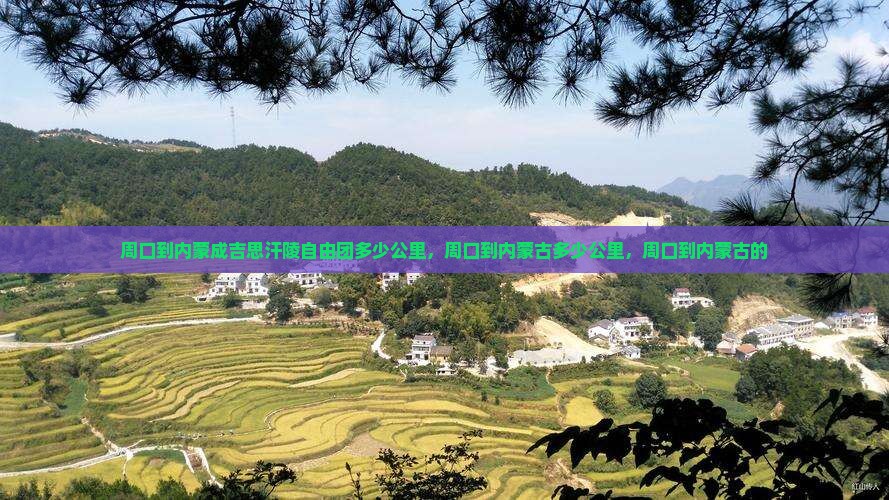 周口到内蒙成吉思汗陵自由团