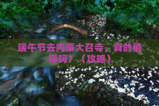 端午节到内蒙大召寺个人游