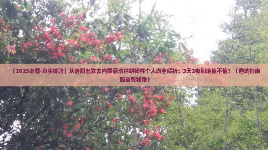 洛阳去内蒙额济纳胡杨林个人游