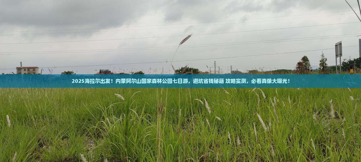 海拉尔去内蒙阿尔山国家森林公园七日游