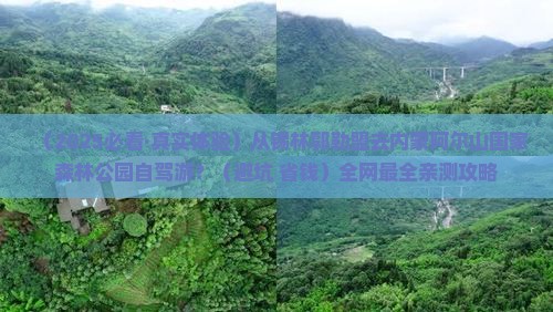 锡林郭勒盟到内蒙阿尔山国家森林公园旅游