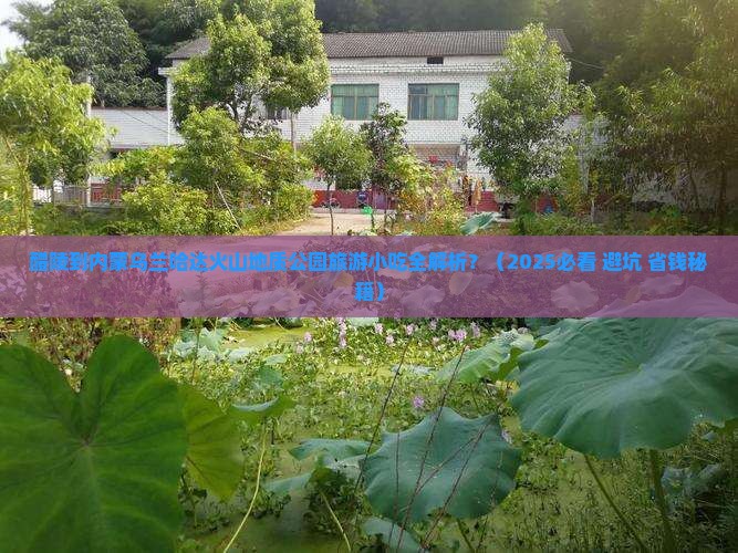 醴陵到内蒙乌兰哈达火山地质公园旅游小吃