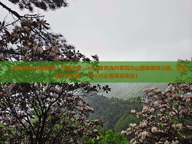 濮阳到内蒙阿尔山国家森林公园四日游