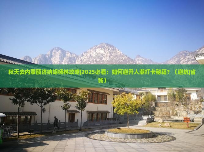 秋天去内蒙额济纳胡杨林攻略