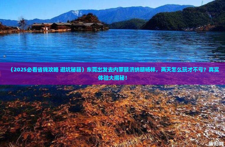 东莞去内蒙额济纳胡杨林二日游