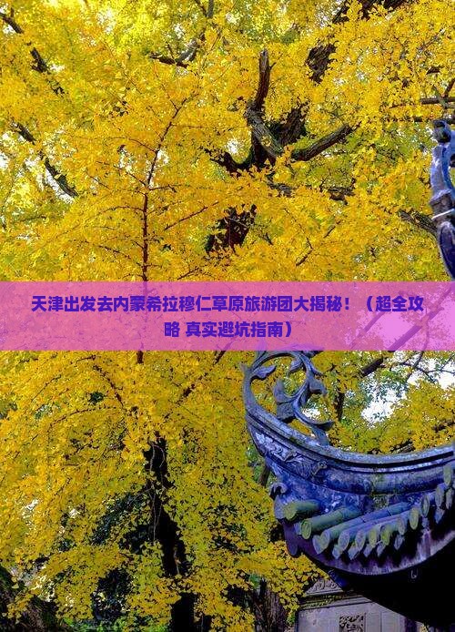 天津到内蒙希拉穆仁草原大型旅游团