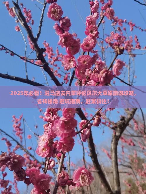 驻马店去内蒙呼伦贝尔大草原旅游