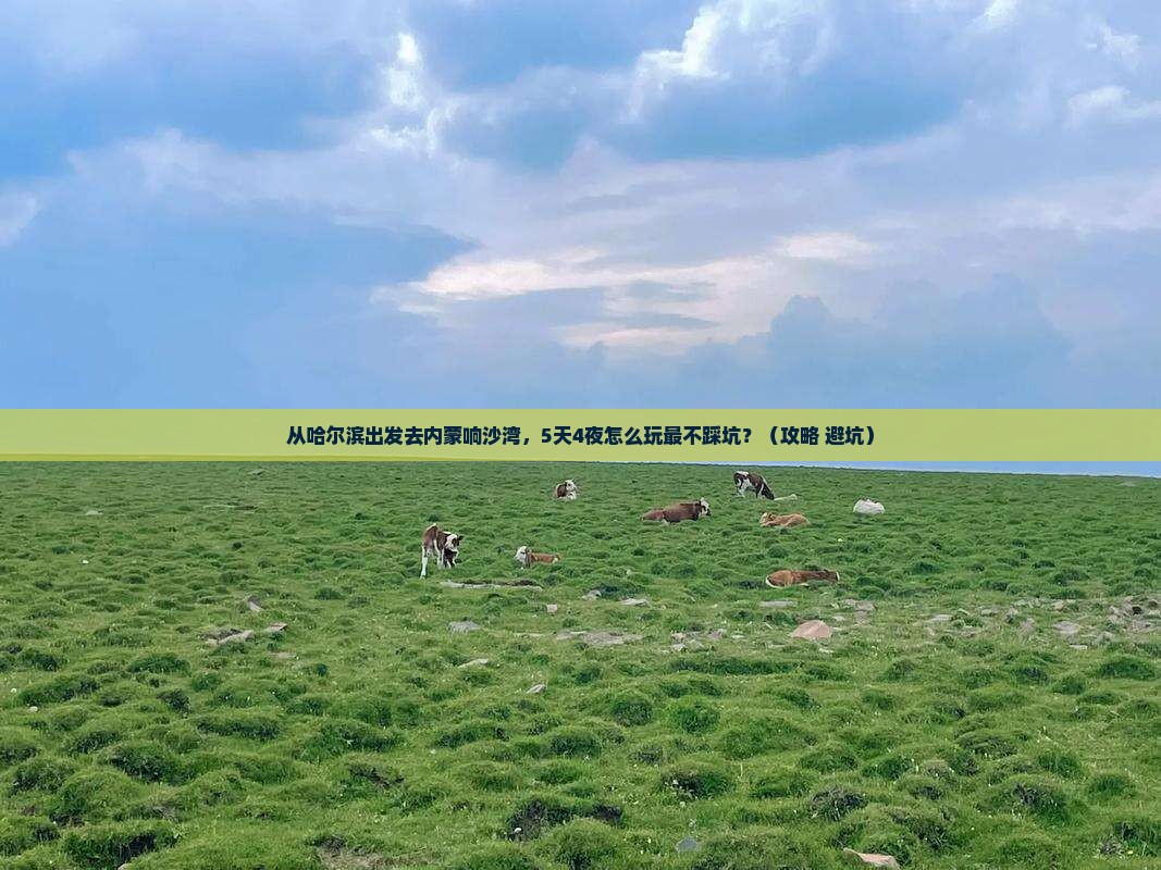 哈尔滨到内蒙响沙湾旅游