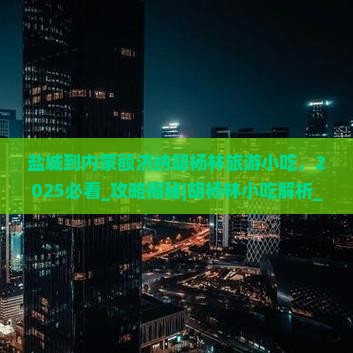 盐城到内蒙额济纳胡杨林旅游小吃