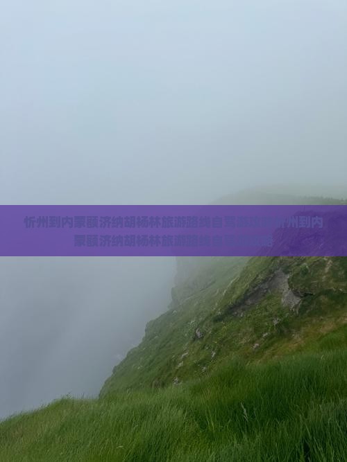 忻州到内蒙额济纳胡杨林旅游