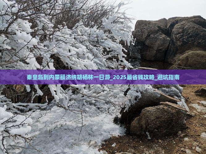 秦皇岛到内蒙额济纳胡杨林一日游
