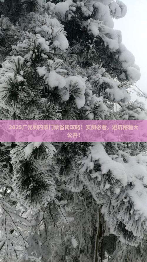 广元到内蒙门票