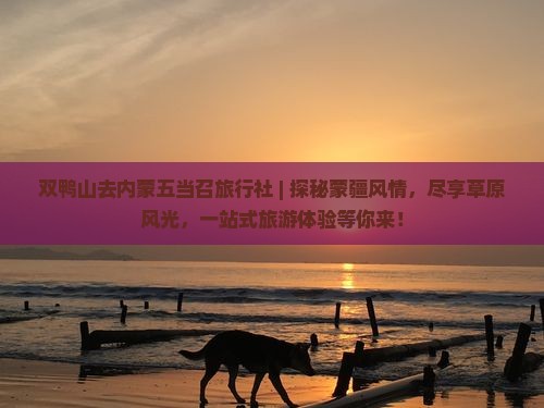 双鸭山去内蒙五当召旅行社