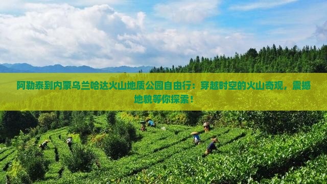 阿勒泰到内蒙乌兰哈达火山地质公园自由行